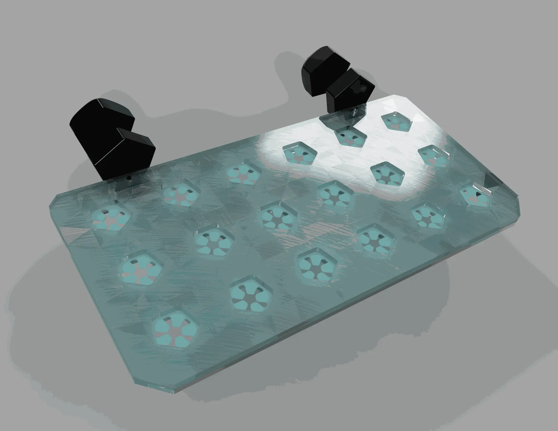 support pour bouture translucide vu de dessus