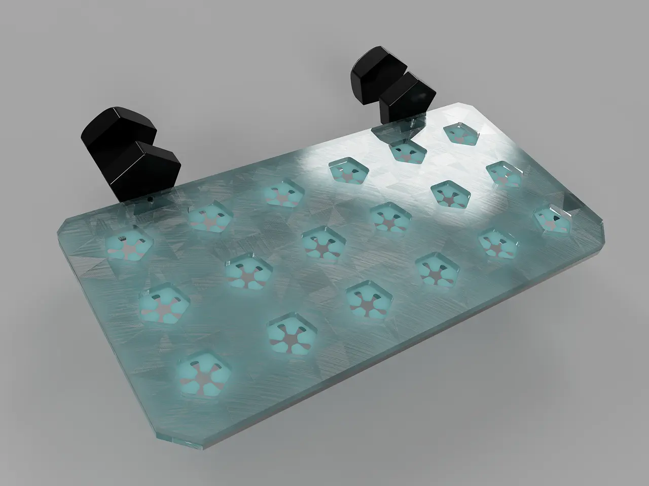 support pour bouture translucide vu de dessus