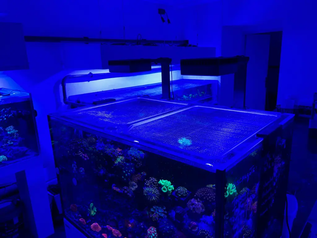 filets anti sauts.webp